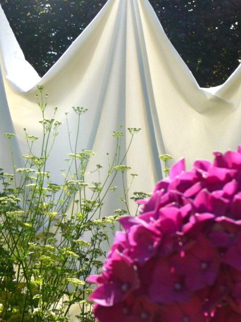 Magnolia Petal Bed & Breakfast Fernwood ภายนอก รูปภาพ