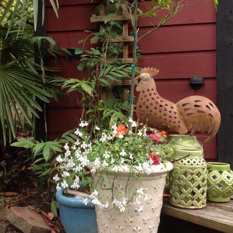 Magnolia Petal Bed & Breakfast Fernwood ภายนอก รูปภาพ